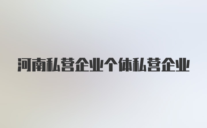 河南私营企业个体私营企业