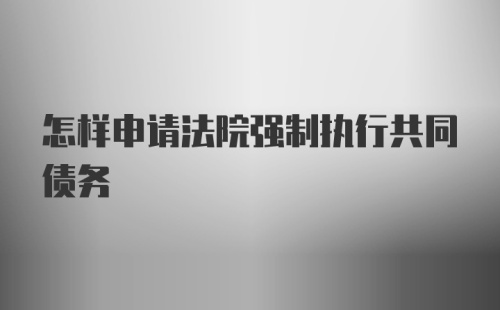 怎样申请法院强制执行共同债务