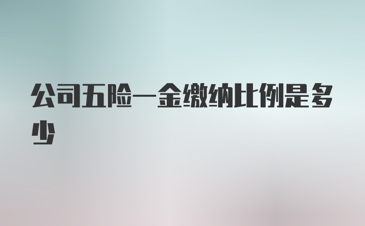 公司五险一金缴纳比例是多少