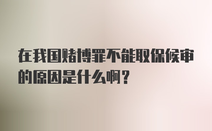 在我国赌博罪不能取保候审的原因是什么啊？