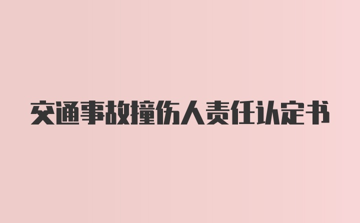 交通事故撞伤人责任认定书