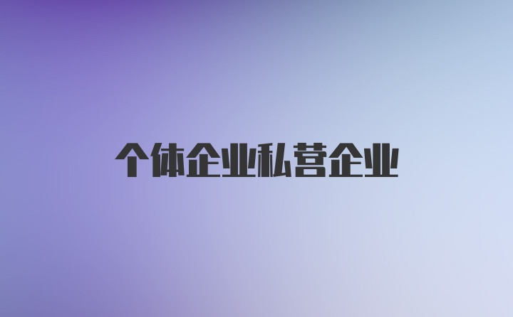 个体企业私营企业