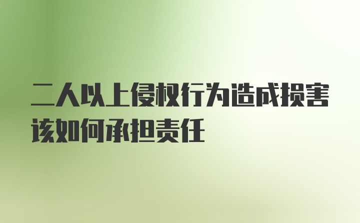 二人以上侵权行为造成损害该如何承担责任