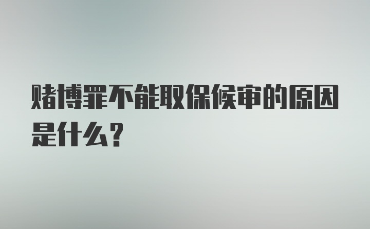 赌博罪不能取保候审的原因是什么？