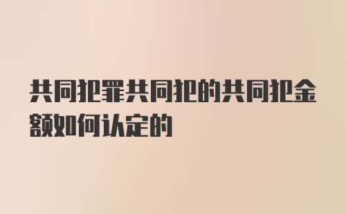 共同犯罪共同犯的共同犯金额如何认定的