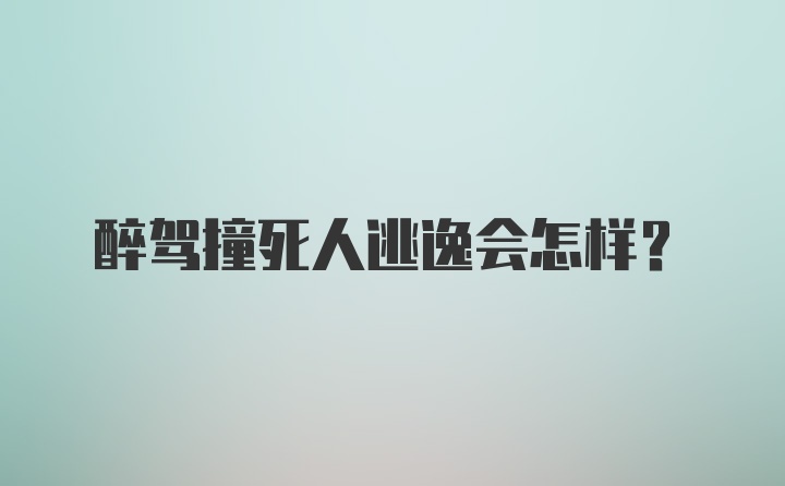 醉驾撞死人逃逸会怎样？