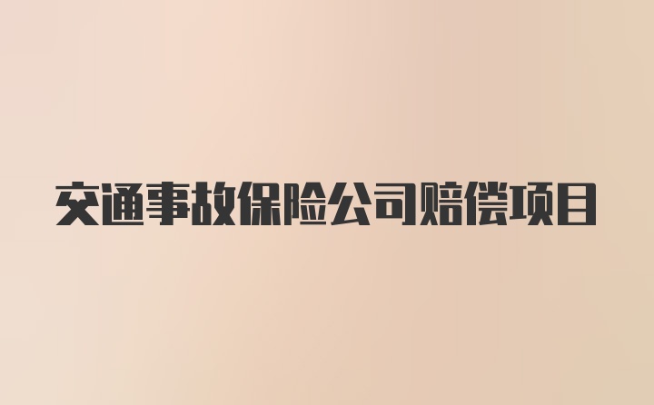 交通事故保险公司赔偿项目