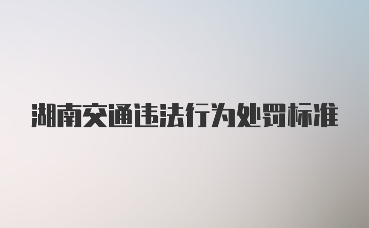 湖南交通违法行为处罚标准