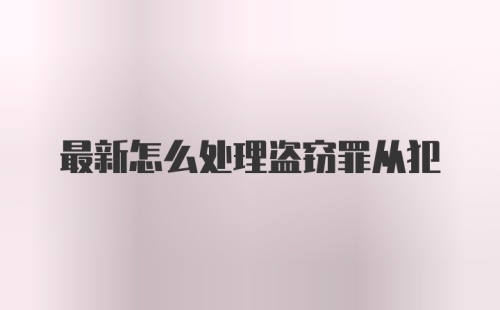 最新怎么处理盗窃罪从犯