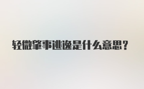 轻微肇事逃逸是什么意思?