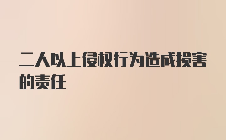 二人以上侵权行为造成损害的责任