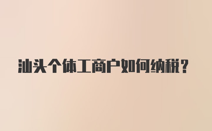 汕头个体工商户如何纳税？