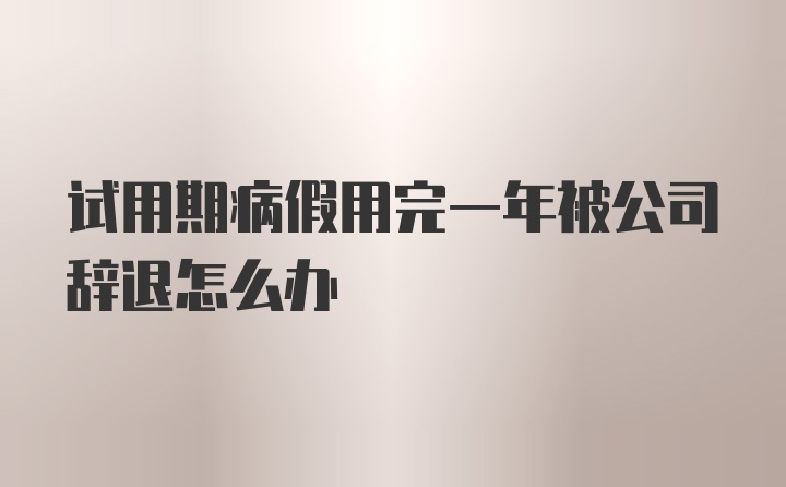 试用期病假用完一年被公司辞退怎么办