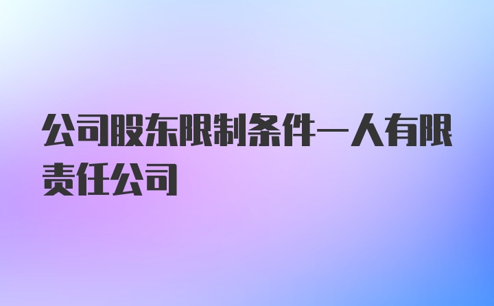 公司股东限制条件一人有限责任公司