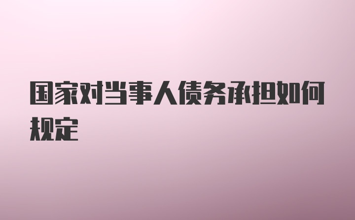 国家对当事人债务承担如何规定