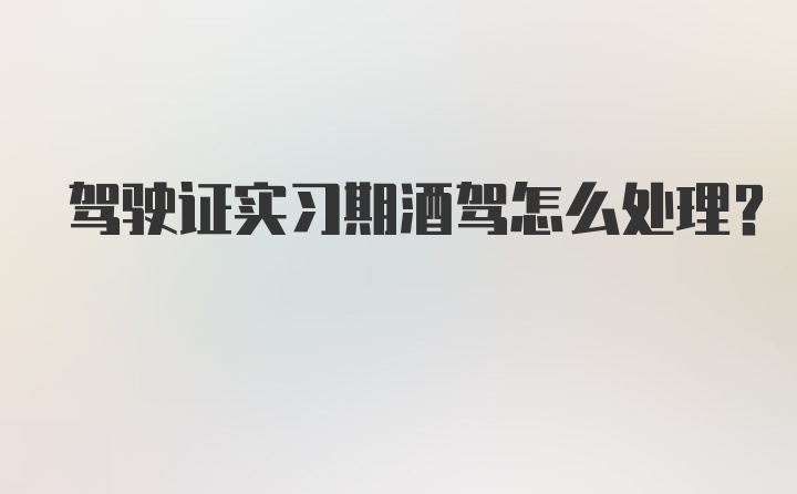 驾驶证实习期酒驾怎么处理？