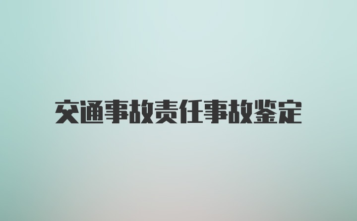 交通事故责任事故鉴定