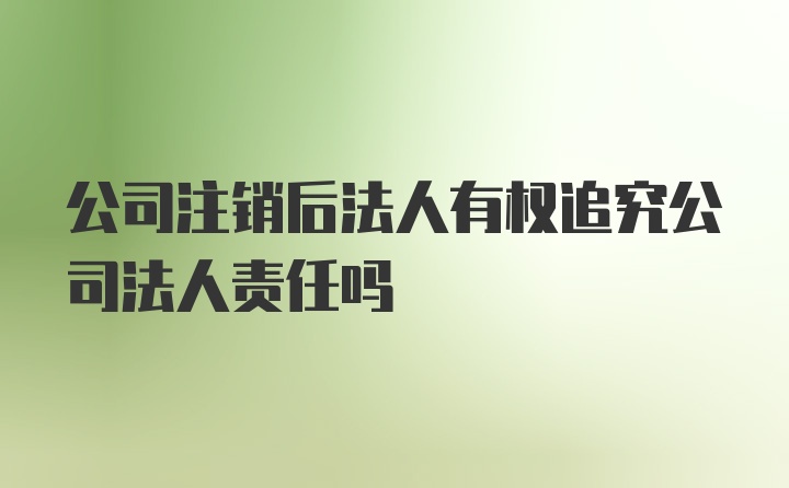 公司注销后法人有权追究公司法人责任吗