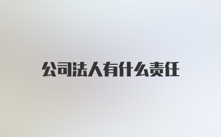 公司法人有什么责任