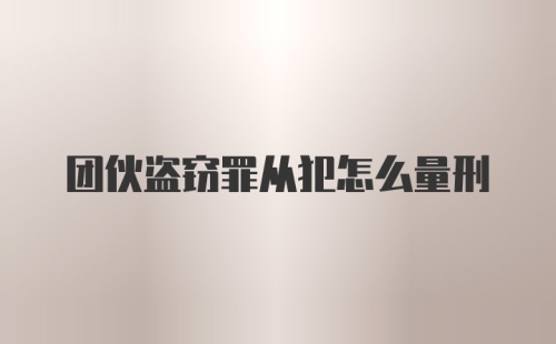 团伙盗窃罪从犯怎么量刑