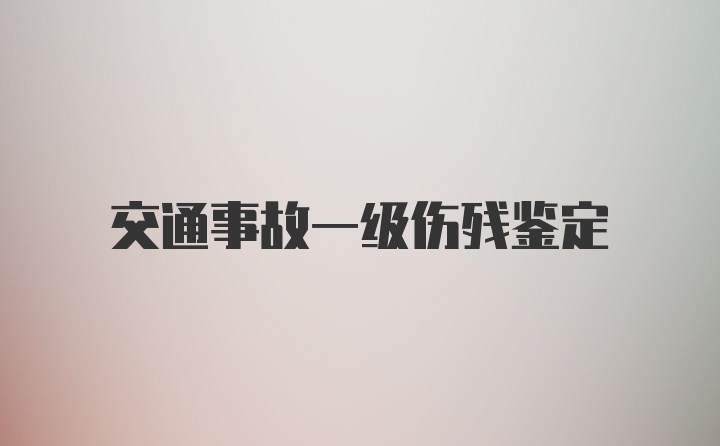 交通事故一级伤残鉴定