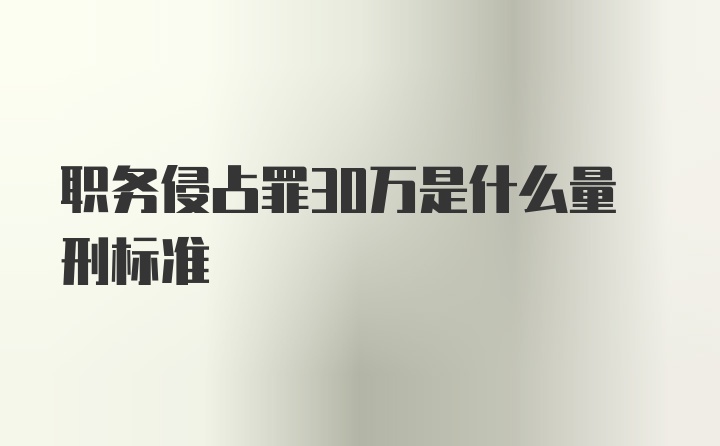 职务侵占罪30万是什么量刑标准