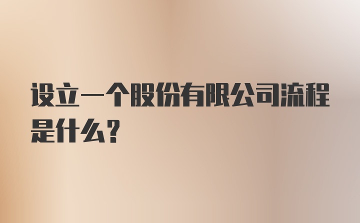 设立一个股份有限公司流程是什么？