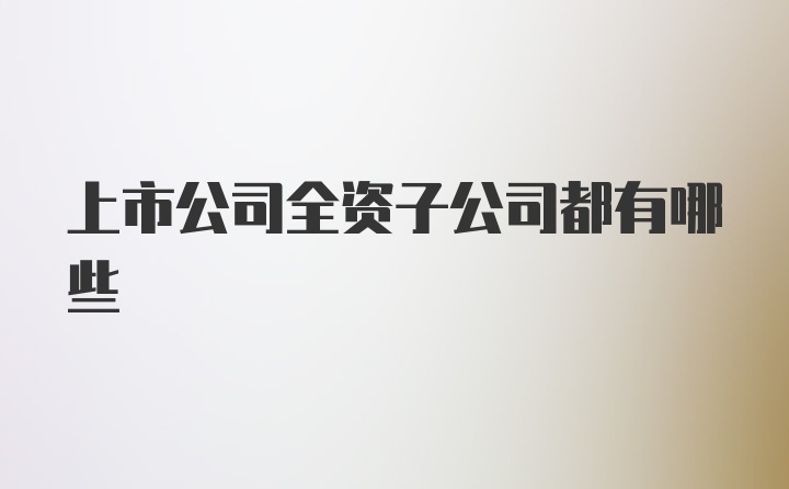 上市公司全资子公司都有哪些