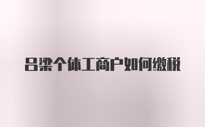 吕梁个体工商户如何缴税