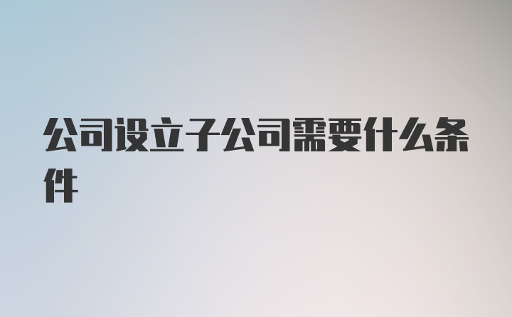 公司设立子公司需要什么条件