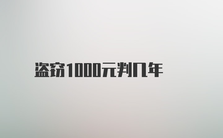 盗窃1000元判几年