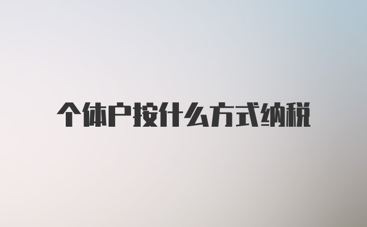 个体户按什么方式纳税