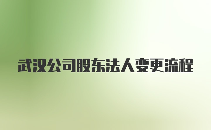 武汉公司股东法人变更流程