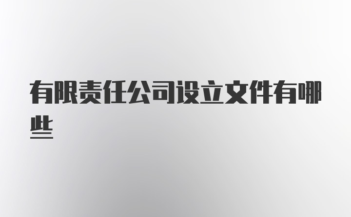 有限责任公司设立文件有哪些