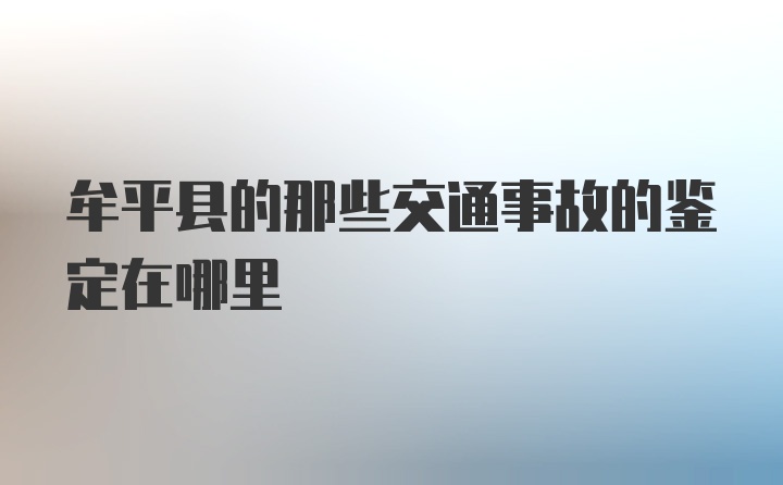 牟平县的那些交通事故的鉴定在哪里