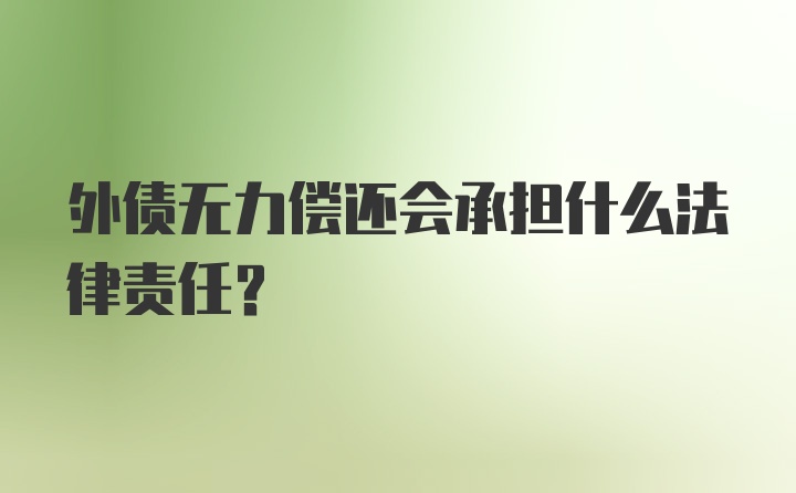 外债无力偿还会承担什么法律责任？