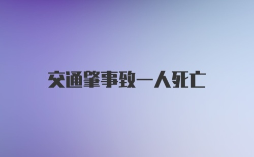 交通肇事致一人死亡