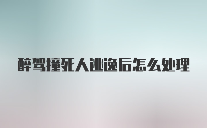 醉驾撞死人逃逸后怎么处理