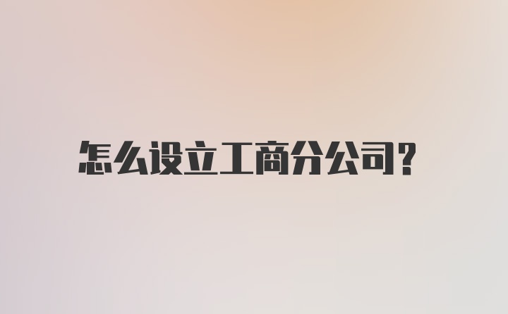 怎么设立工商分公司？