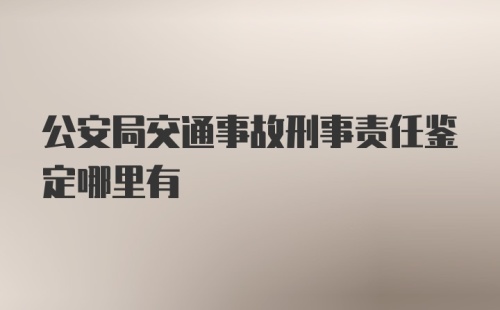 公安局交通事故刑事责任鉴定哪里有