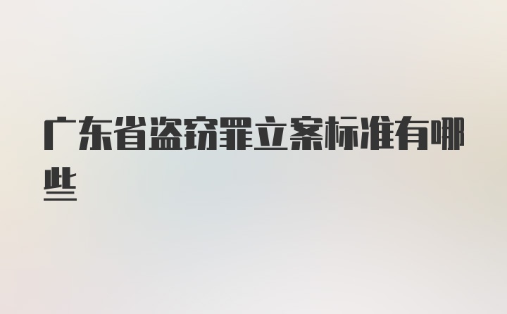 广东省盗窃罪立案标准有哪些