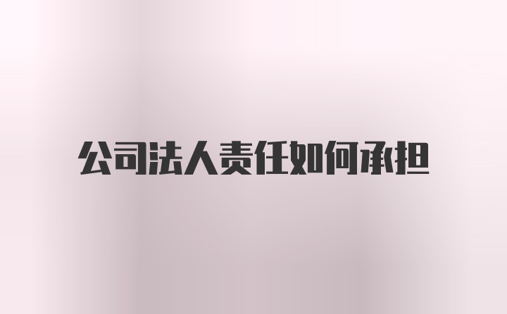 公司法人责任如何承担