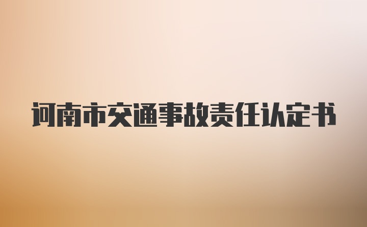 诃南市交通事故责任认定书