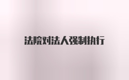 法院对法人强制执行