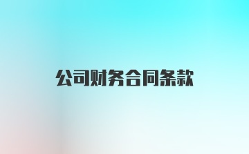 公司财务合同条款