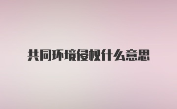 共同环境侵权什么意思