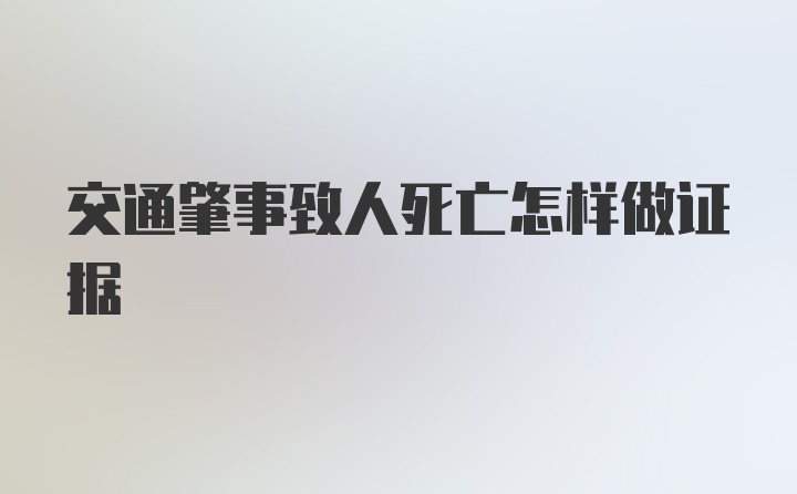 交通肇事致人死亡怎样做证据