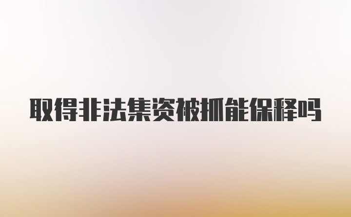 取得非法集资被抓能保释吗