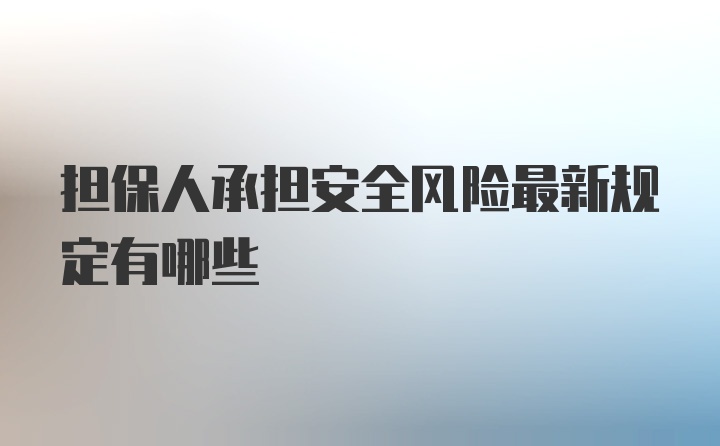 担保人承担安全风险最新规定有哪些