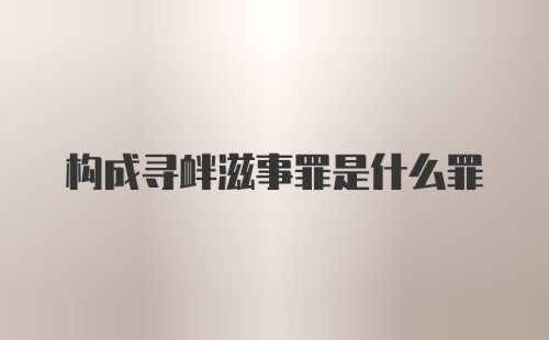 构成寻衅滋事罪是什么罪